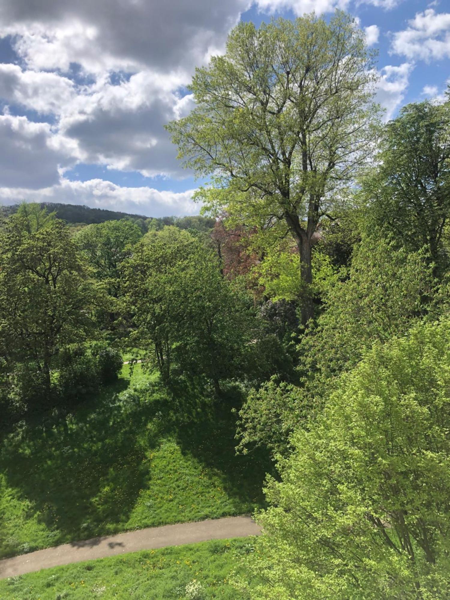 Zimmer Mit Parkblick Estugarda Exterior foto